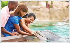 SeaWorld Orlando Attractions